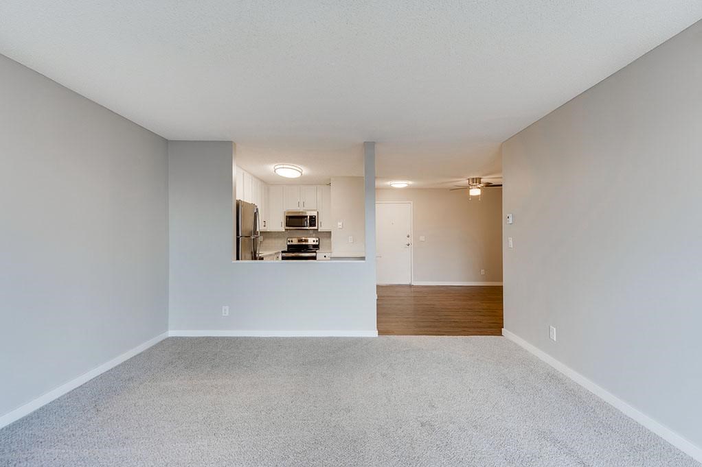 Partial Wall Separating the Kitchen and Living Room