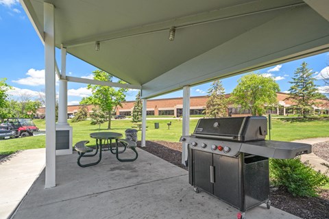Grilling/Picnic Area