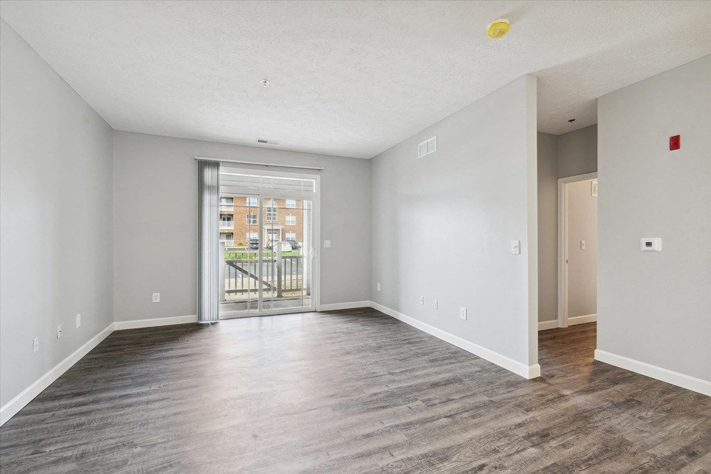 Spacious Living Area With Wood-Style Flooring