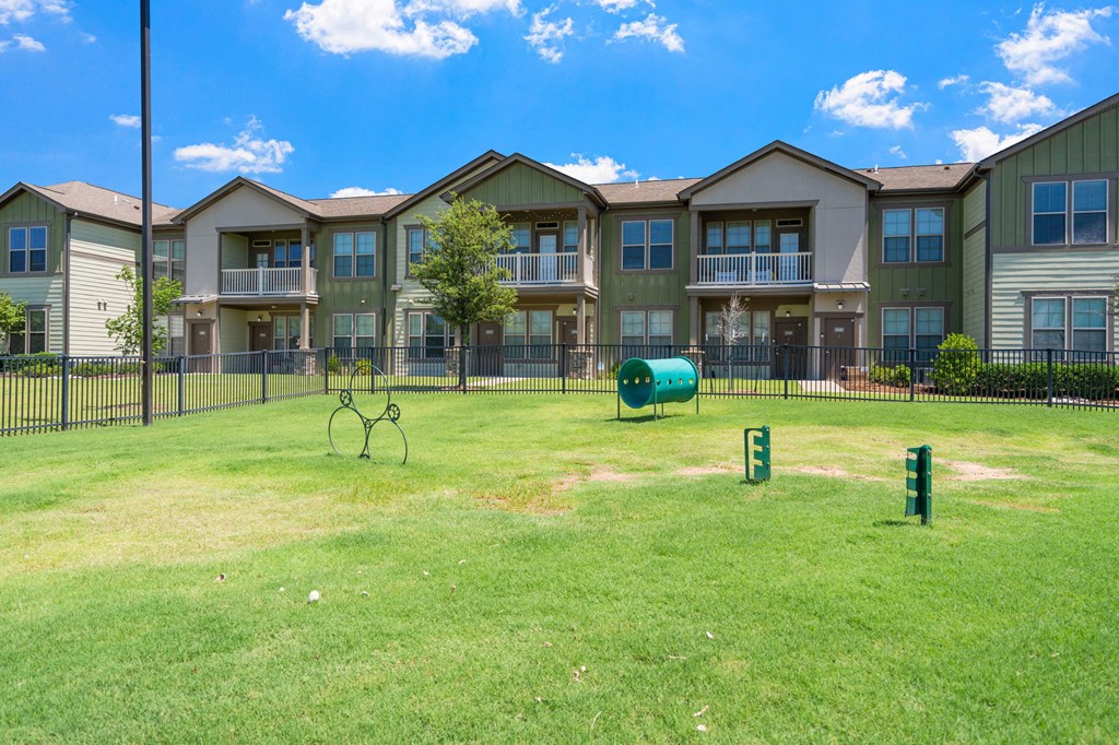 Dog Park with Equipment