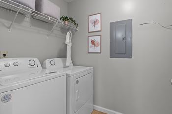 A laundry room with a washer and dryer and a plant on the shelf.