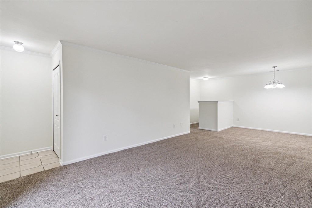 Spacious Living Area with Carpet