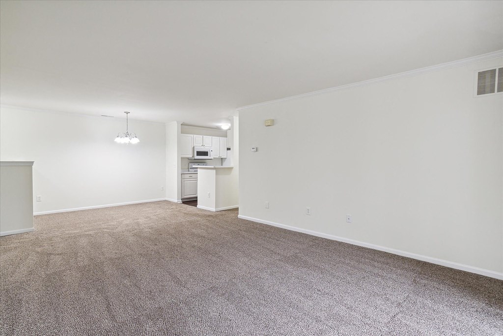 Spacious Living Area with Carpet