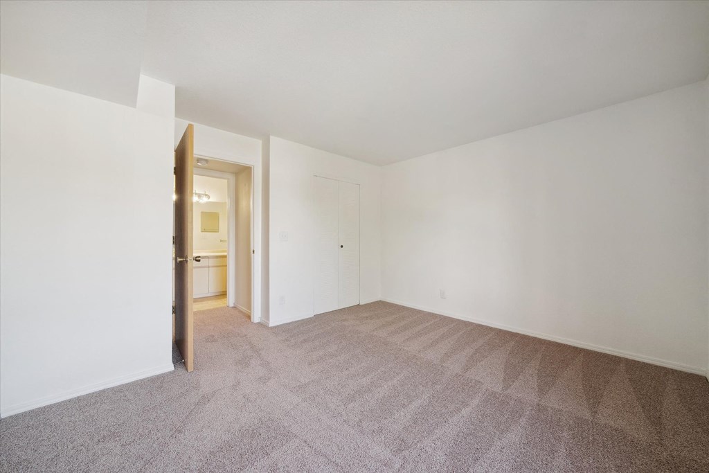 Bedroom with Plush Carpeting