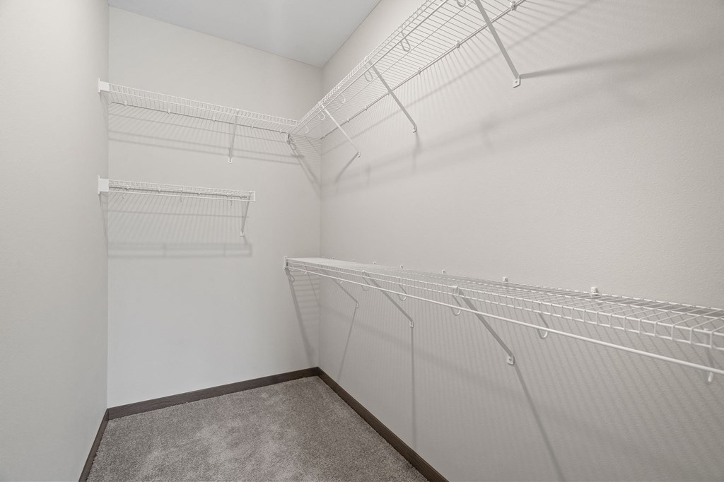 Walk-In Closet With Built-In Shelving