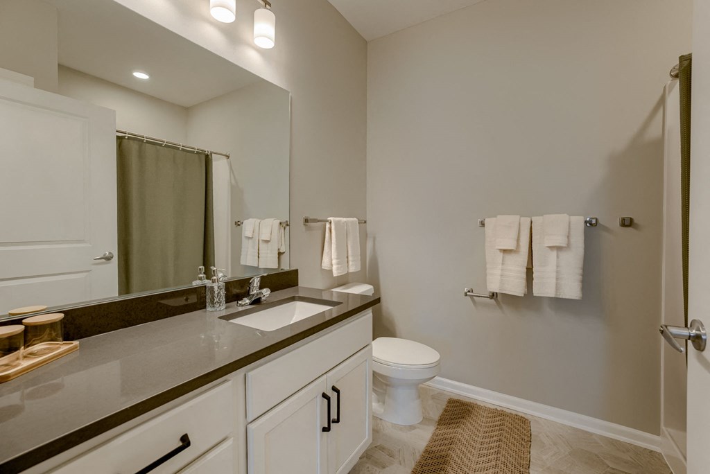 Bathroom with Modern Finishes