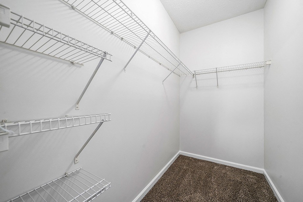 Walk-In Closet With Built-In Shelving