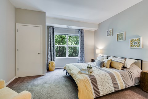 Spacious Carpeted Bedroom With Lots Of Natural Light