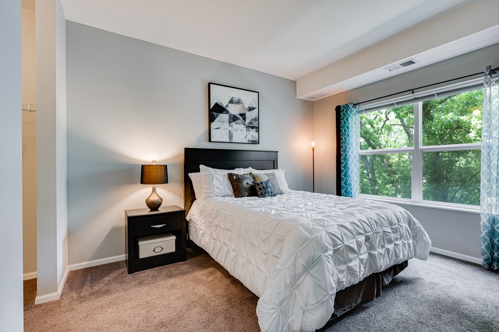 Carpeted Bedroom With Large Windows
