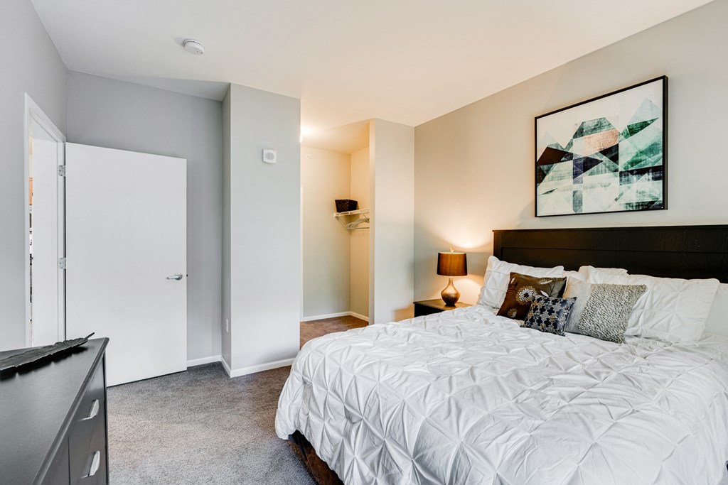 Spacious Bedroom With Walk-