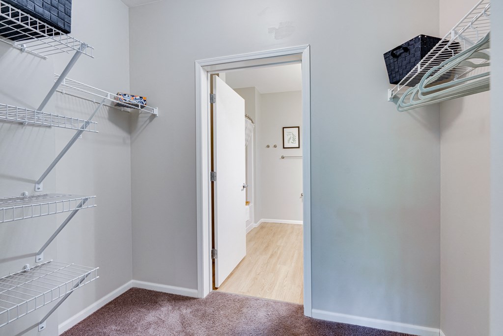 Carpeted Walk-In Closet