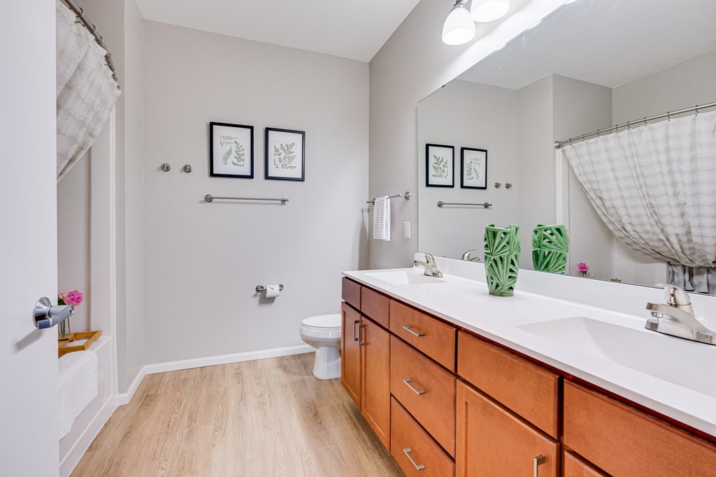 Large Bathroom Vanity