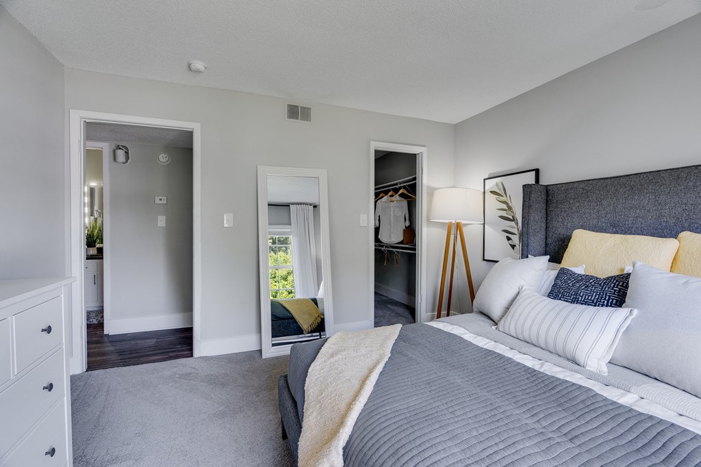 Carpeted Bedroom With Walk-In Closet