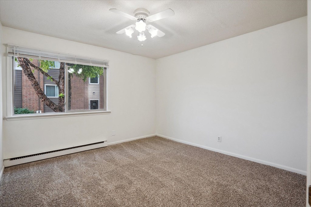 Bedroom with Plush Carpeting