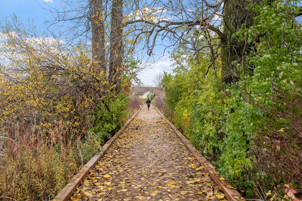 Vincent Woods Walking Trail
