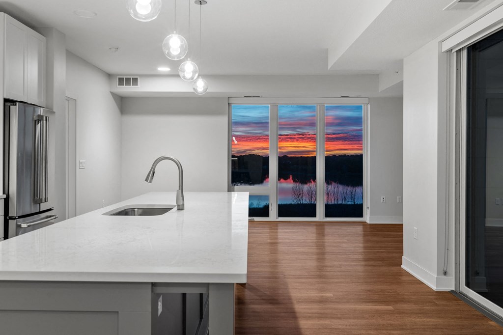 Spacious Living Area With Wood-Style Flooring