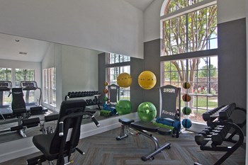 Fitness Center Weights and Balance Balls