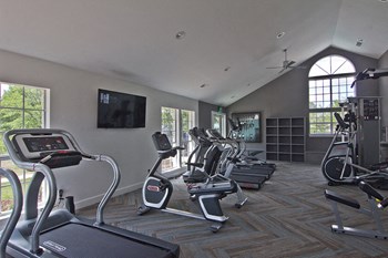 Fitness Center Cardio Equipment