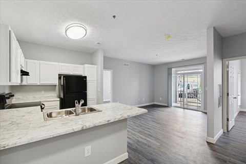 Spacious Living Area With Wood-Style Flooring
