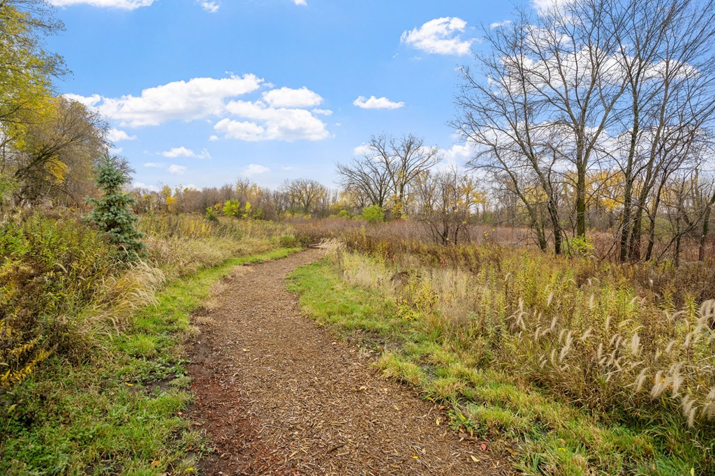 Vincent Woods Walking Trail