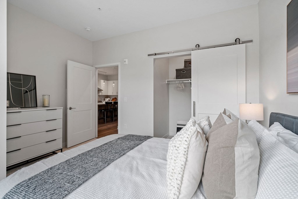 Bedroom Feautring Walk-In Closet With A Sliding Barn Door