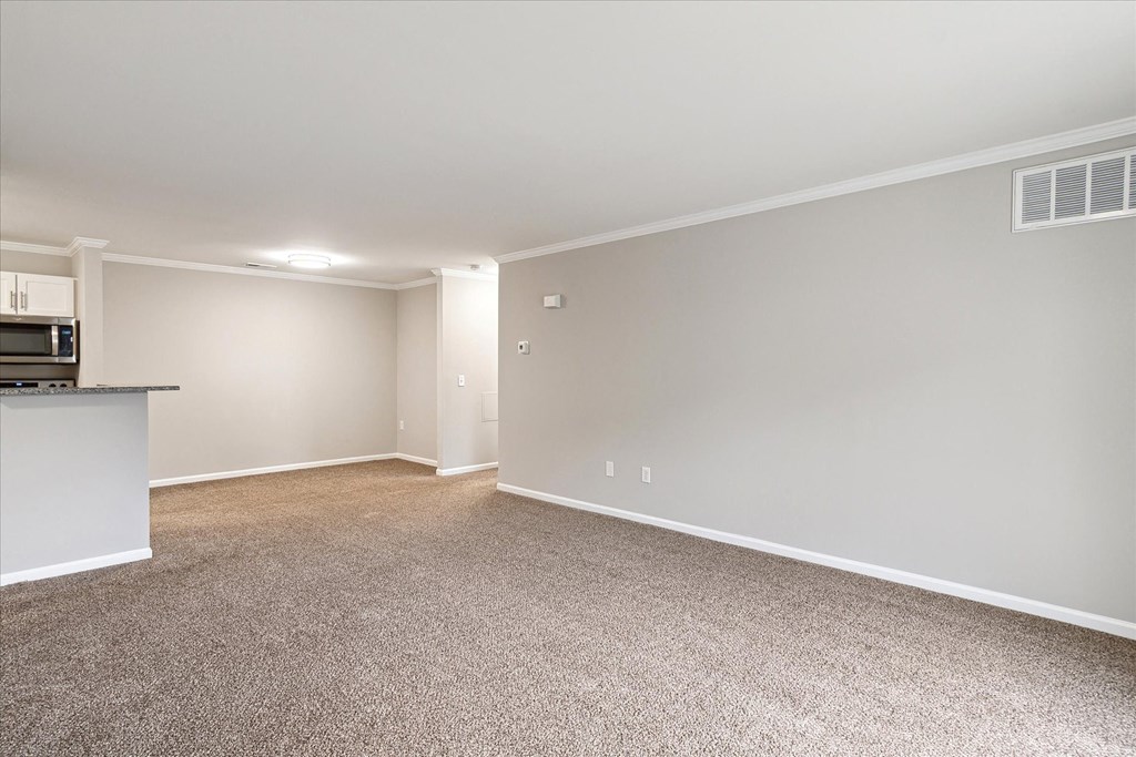 Spacious Living Area with Carpet