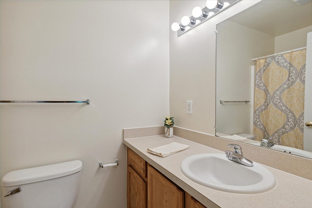 Bathroom with Modern Finishes