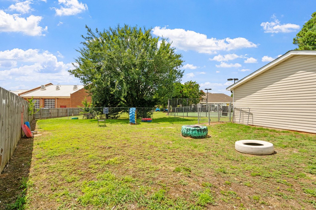 Dog Park with Equipment