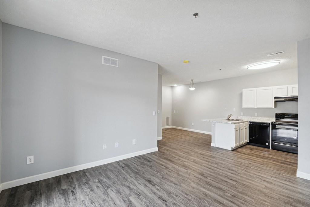 Spacious Living Area With Wood-Style Flooring