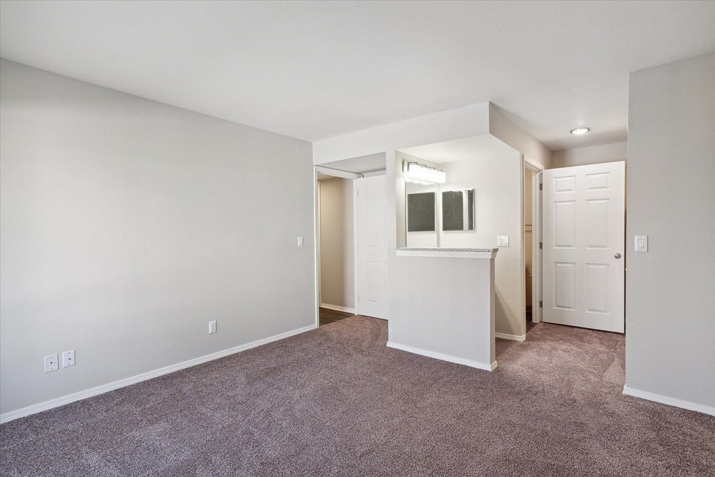 Living Area with Carpet