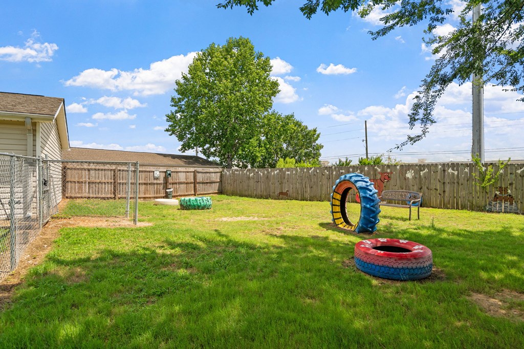 Dog Park with Equipment