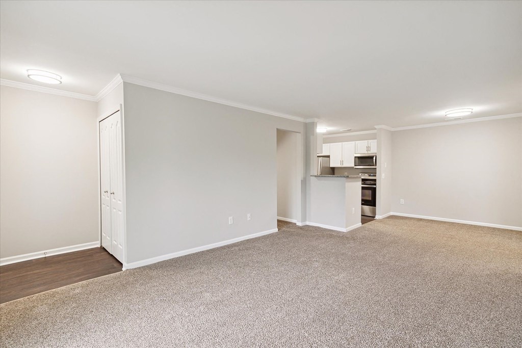 Spacious Living Area with Carpet