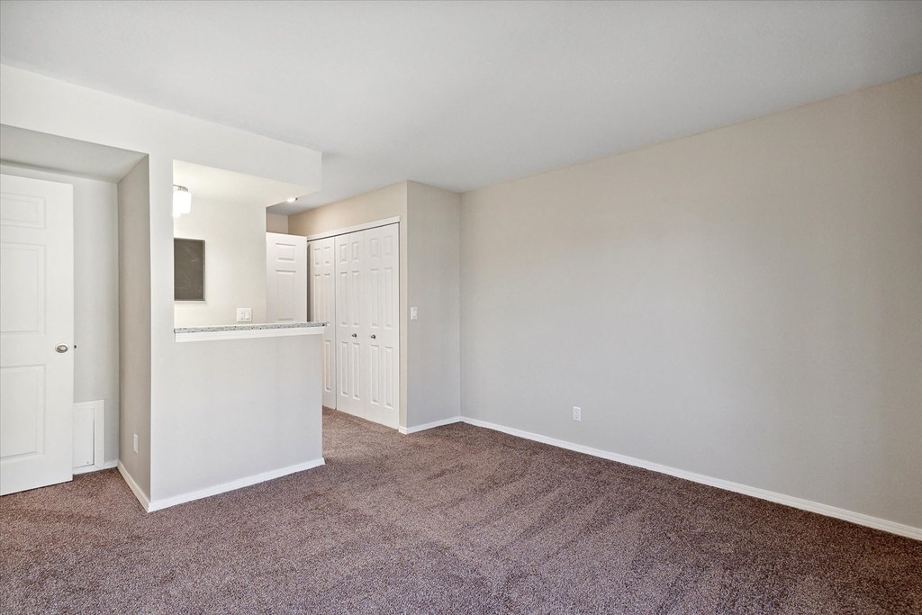 Bedroom with Plush Carpeting