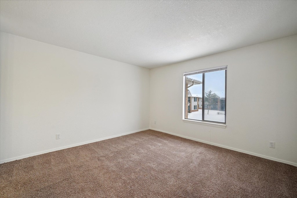 Bedroom with Large Window
