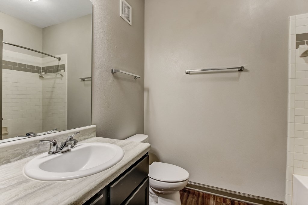Bathroom with Modern Finishes