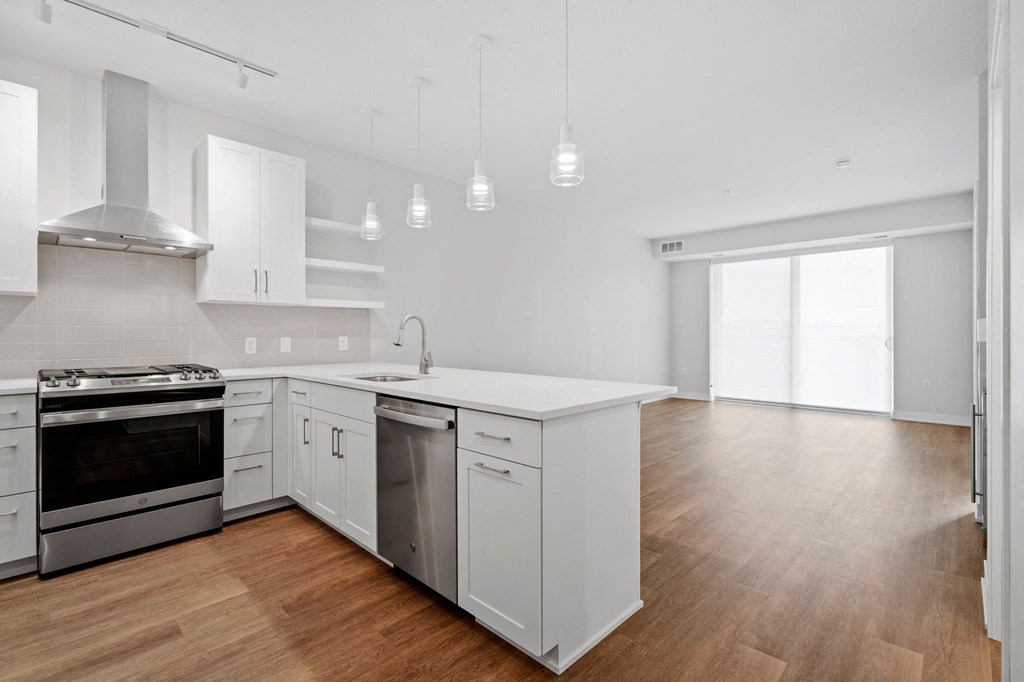Spacious Living Area With Wood-Style Flooring