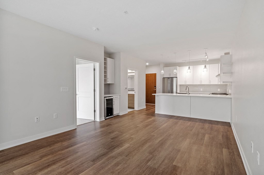 Spacious Living Area With Wood-Style Flooring
