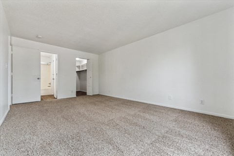 Bedroom With Walk-In Closet