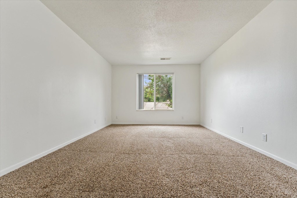 Bedroom with Carpet