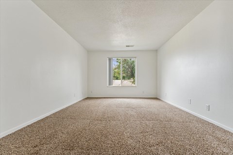 Bedroom with Carpet