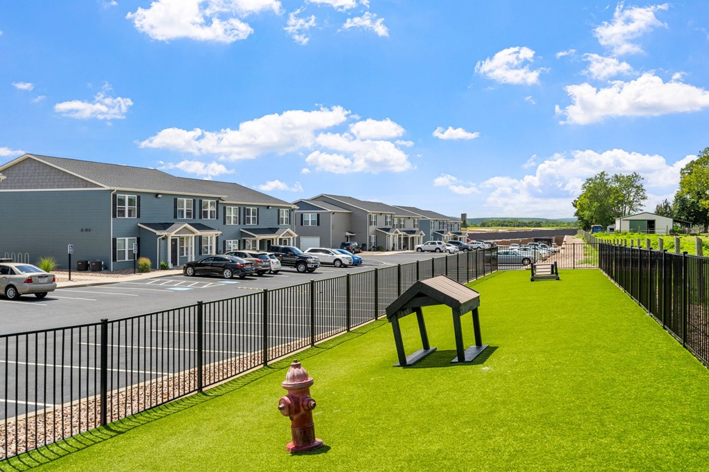 Dog Park with Equipment