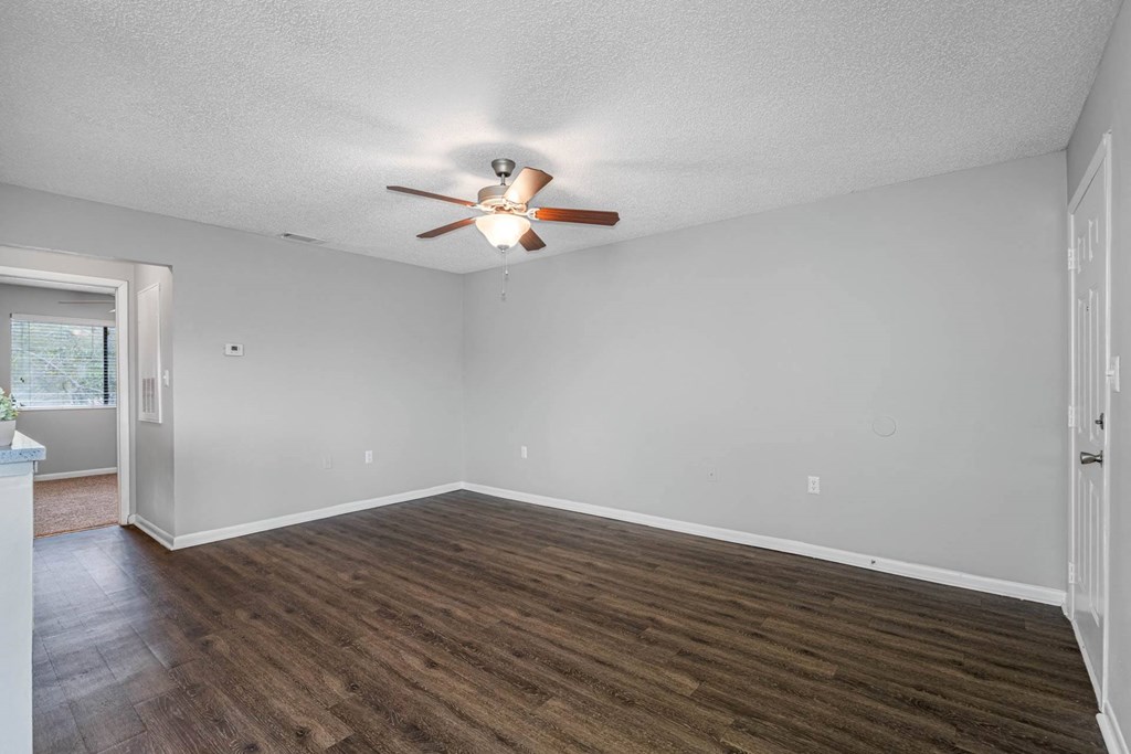 Spacious Living Area With Wood-Style Flooring