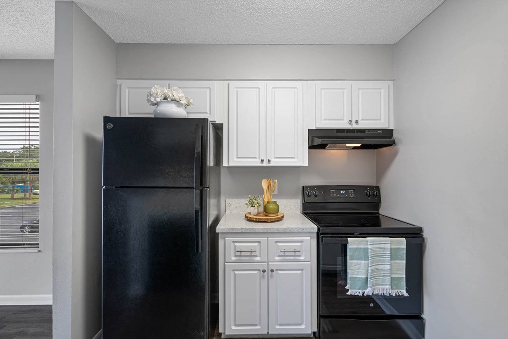 Kitchen with Black Appliances