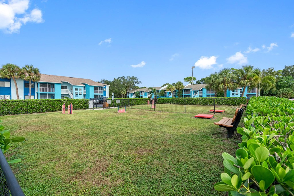 Dog Park with Equipment