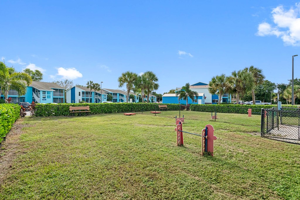 Dog Park with Equipment