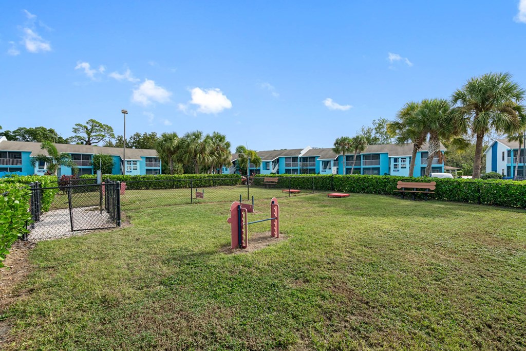 Dog Park with Equipment