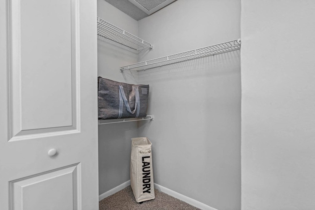 Walk-In Closet With Built-In Shelving