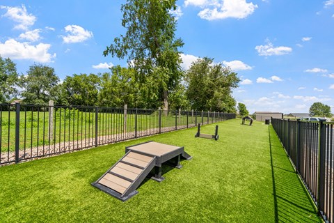 Dog Park with Equipment