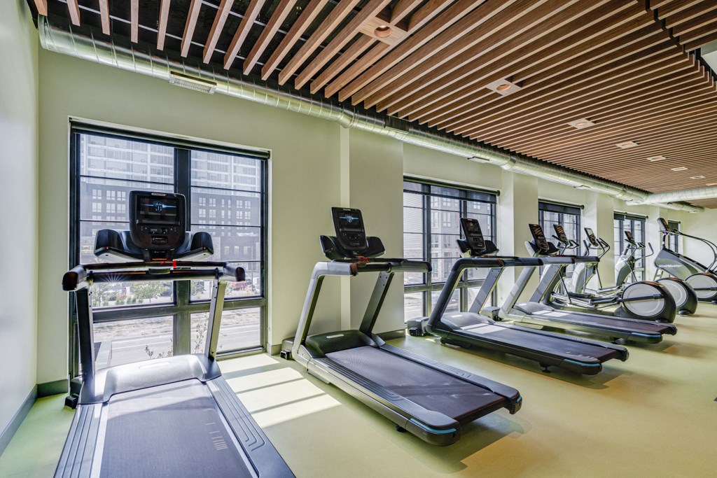 Treadmills at the Gym