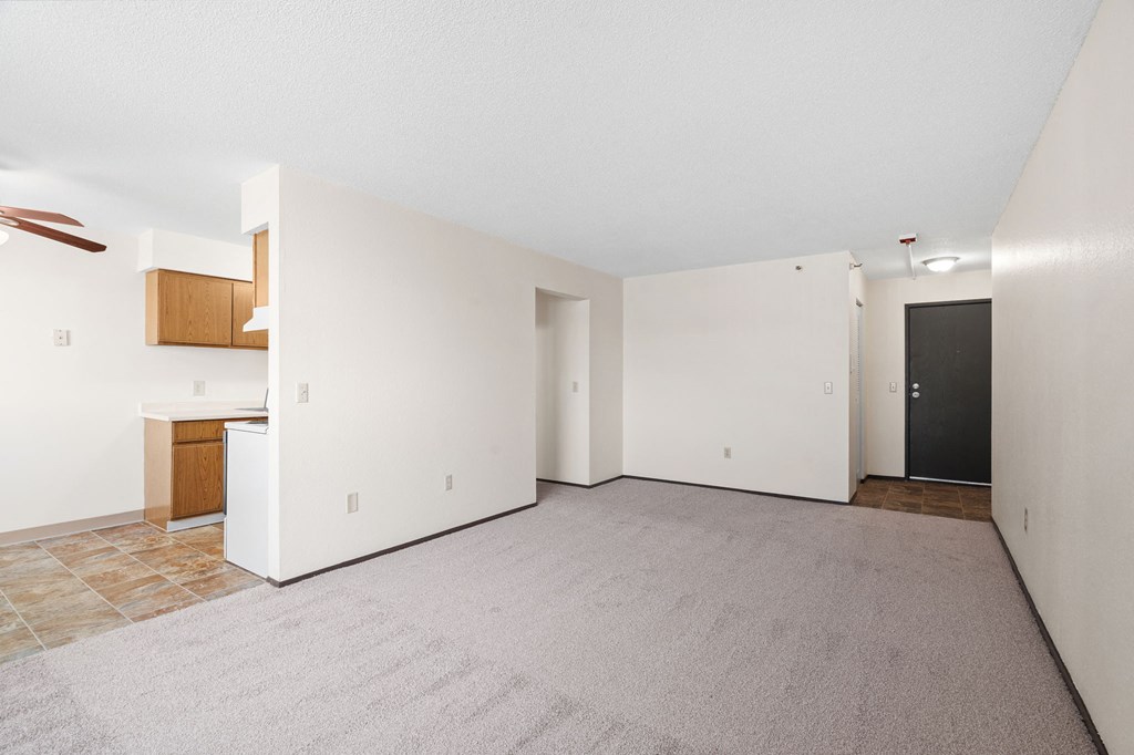 Living Room with Plush Carpeting